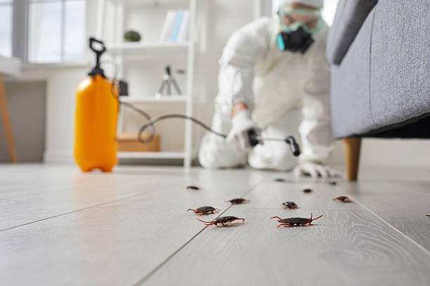 Commercial Kitchen Cockroach Control in Wilkinsburg